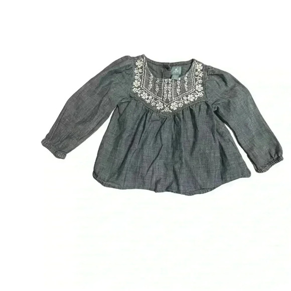 GAP Other - Baby Gap Chambray long sleeve 2T